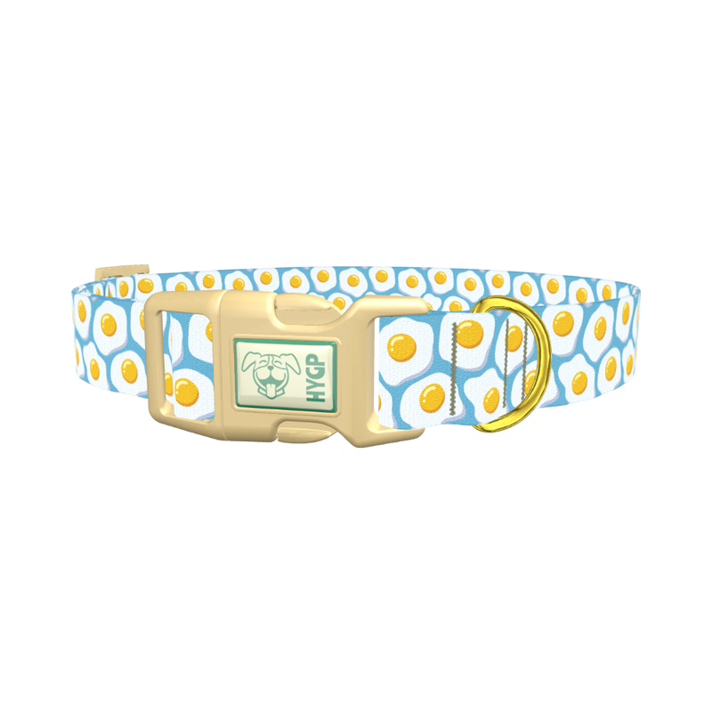 Egg Pattern Dog Collar - plastic gold
