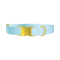 Blue Gradient Dog Collar - metal gold