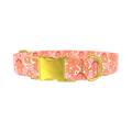 Floral Dinosaur Dog Collar - metal gold