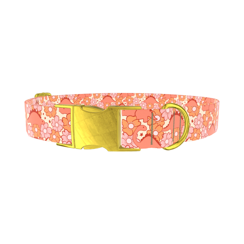 Floral Dinosaur Dog Collar - metal gold