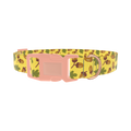 Fall Acorn Dog Collar - plastic rose gold