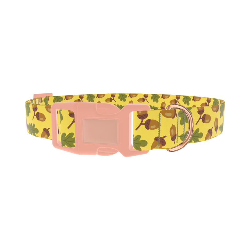 Fall Acorn Dog Collar - plastic rose gold