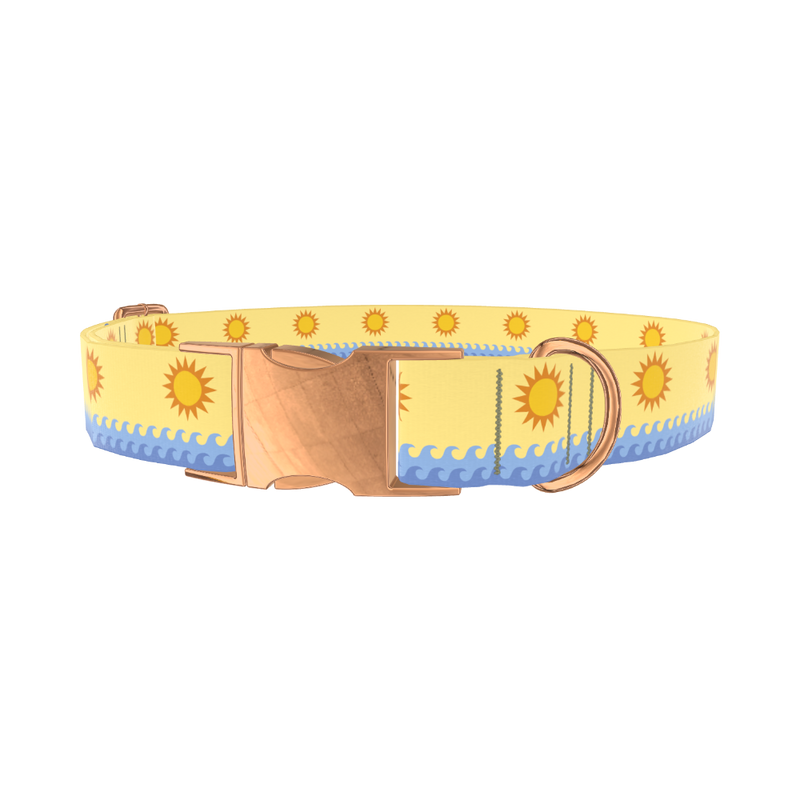 Beach Sun Dog Collar - metal silver