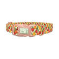 Red Yellow Tulip Pattern Dog Collar - plastic rose gold