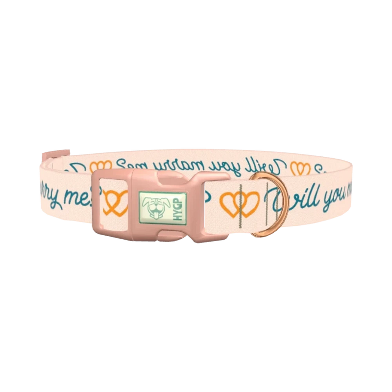 Phrase Heart Dog Collar - plastic rose gold