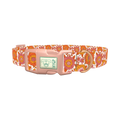 Orange Floral Burst Dog Collar - plastic rose gold