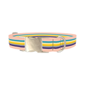 Multicolor Stripes Dog Collar - metal silver