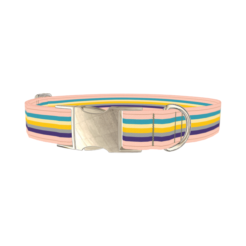 Multicolor Stripes Dog Collar - metal silver
