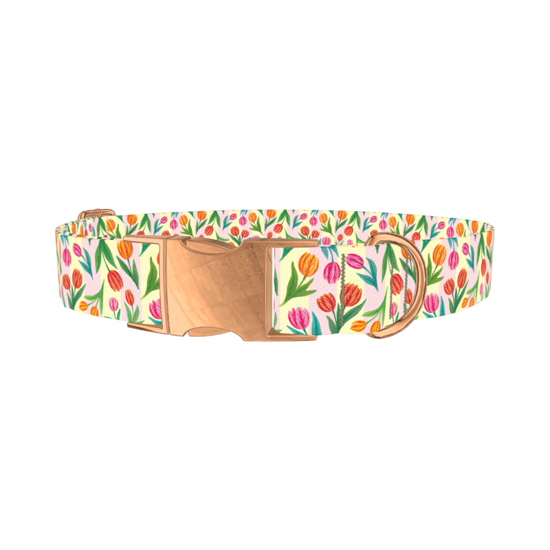 Floral Tulip Stripes Dog Collar - metal rose gold