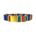 Bright Striped Dog Collar - metal gold