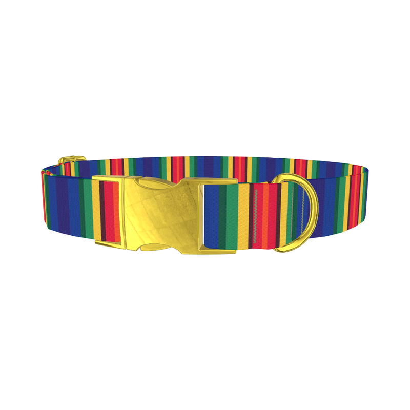 Bright Striped Dog Collar - metal gold