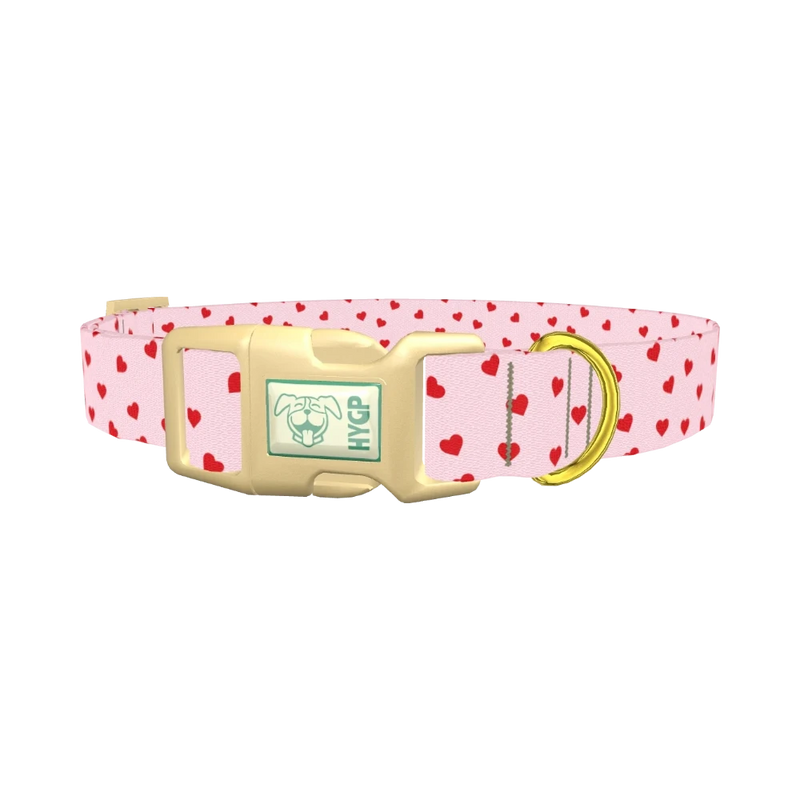 Red Heart Dog Collar - plastic gold