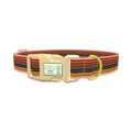 Autumn Stripes Dog Collar - plastic gold