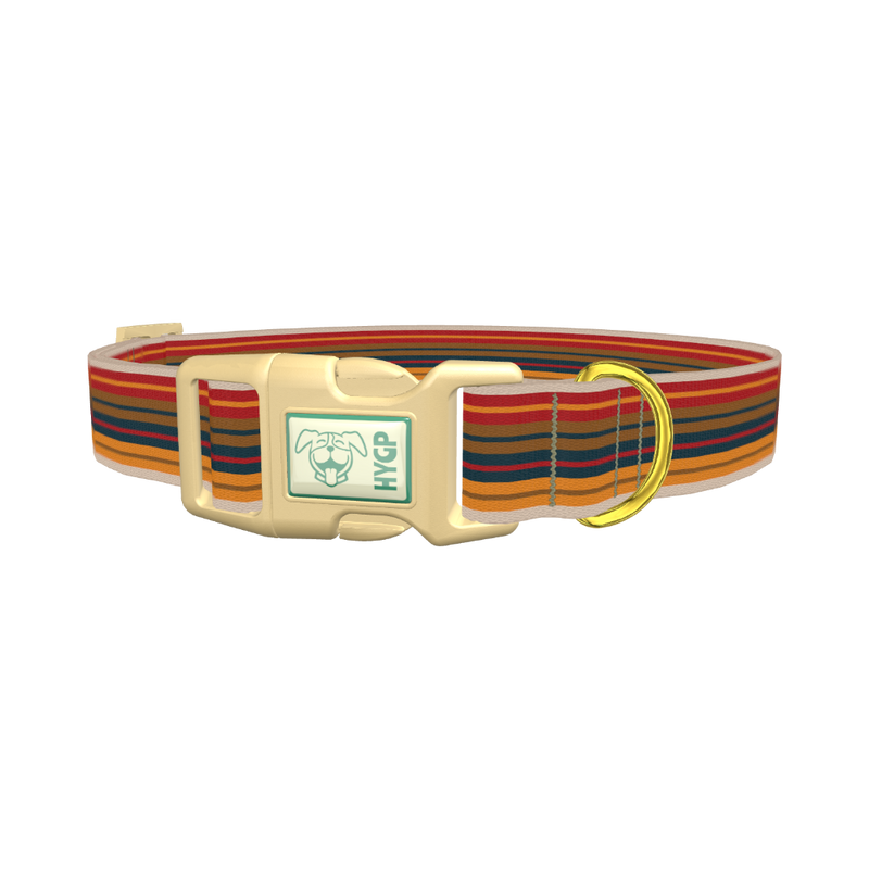 Autumn Stripes Dog Collar - plastic gold
