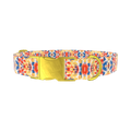 Multicolor Tie Dye Dog Collar - metal rose gold