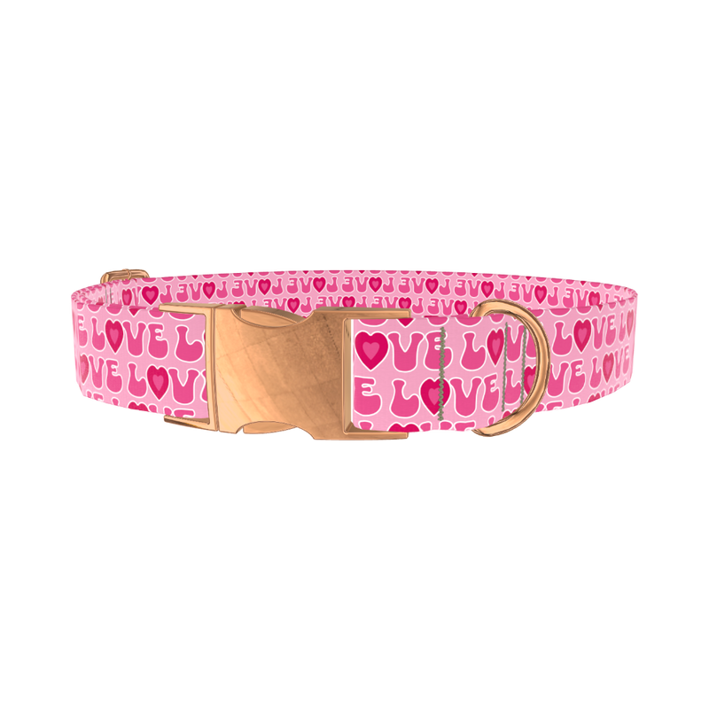 Valentine Heart Dog Collar - metal rose gold