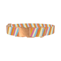 Colorful Diagonal Stripe Dog Collar - metal rose gold
