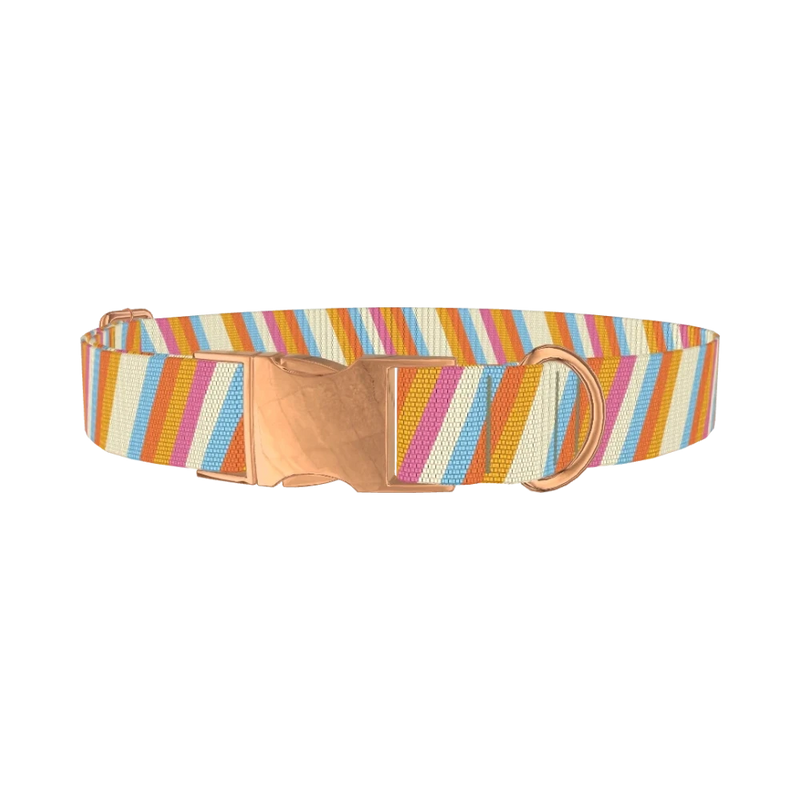 Colorful Diagonal Stripe Dog Collar - metal rose gold