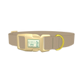  - plastic gold