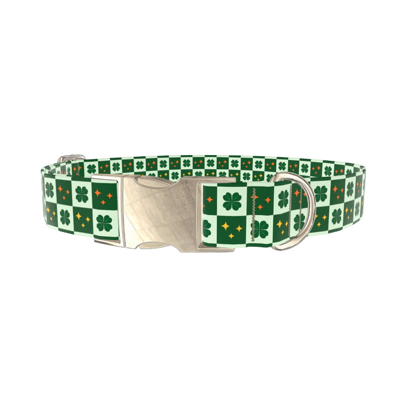 Clover Star Dog Collar - metal gold
