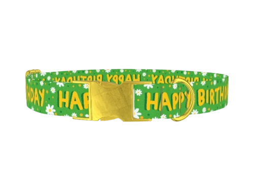 BIRTHDAY_09
