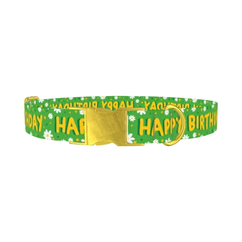 Birthday Floral Dog Collar - metal gold