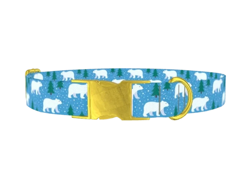 ANIMALS_BearsWinter