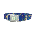 Abstract Blue Paint Dog Collar - plastic silver