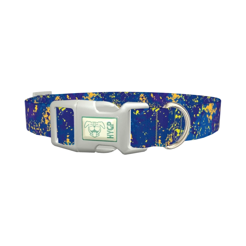 Abstract Blue Paint Dog Collar - plastic silver