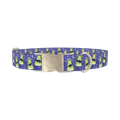 Dinosaur UFO Dog Collar - metal silver