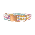 Positive Vibes Text Dog Collar - metal rose gold