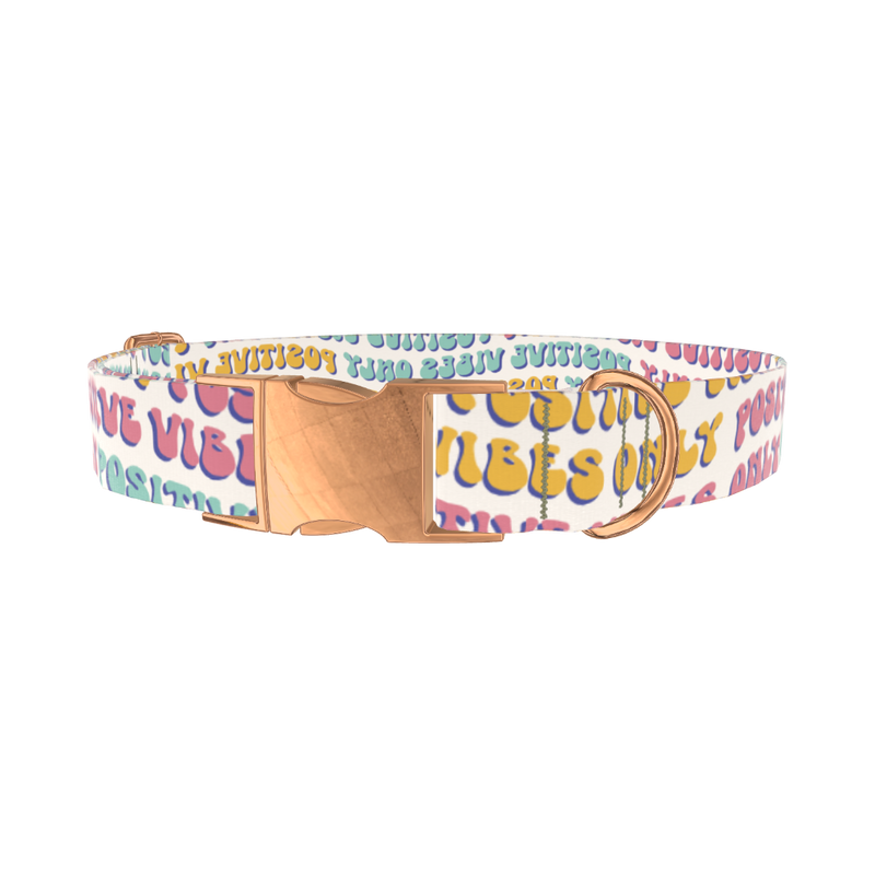 Positive Vibes Text Dog Collar - metal rose gold