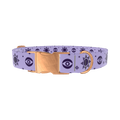 Mystical Star Dog Collar - metal silver