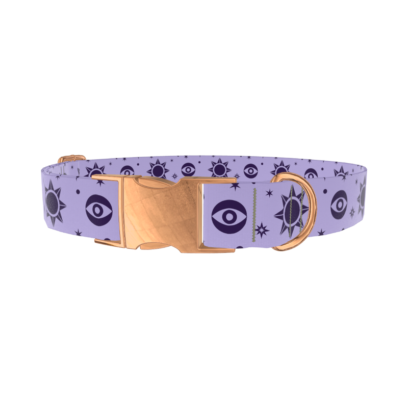 Mystical Star Dog Collar - metal silver