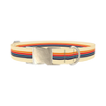 Colorful Stripe Hexagon Dog Collar - metal silver