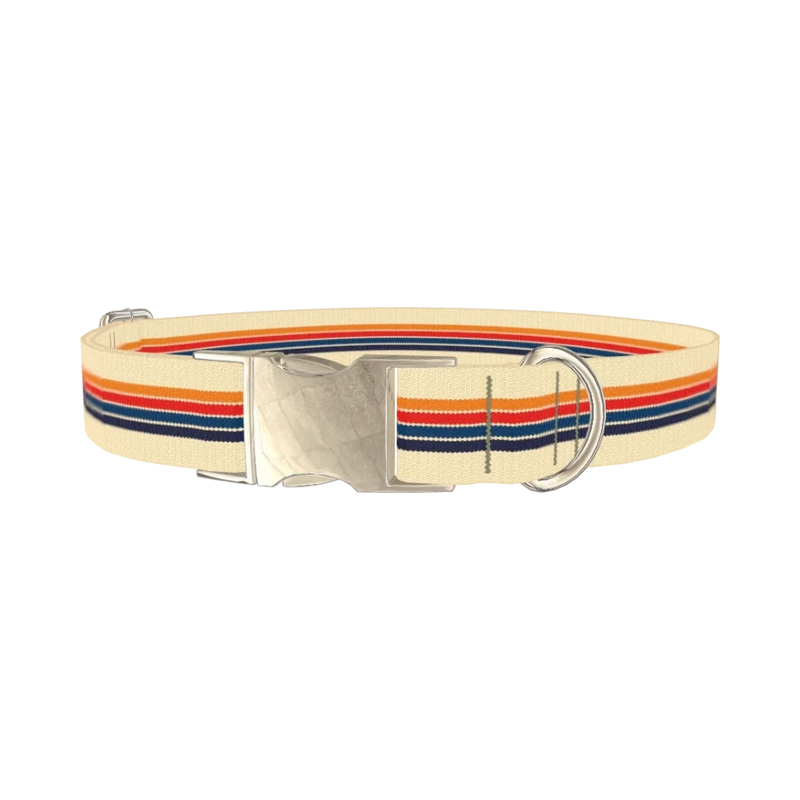 Colorful Stripe Hexagon Dog Collar - metal silver