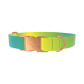Gradient Color Dog Collar - metal rose gold