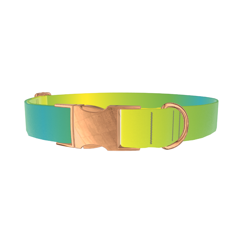 Gradient Color Dog Collar - metal rose gold
