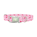 Pink Ribbon Heart 8870522388695 Dog Collar - plastic silver