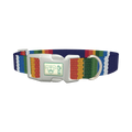 Woven Rainbow Stripe Dog Collar - plastic silver