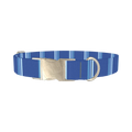 Blue Striped Dog Collar - metal silver