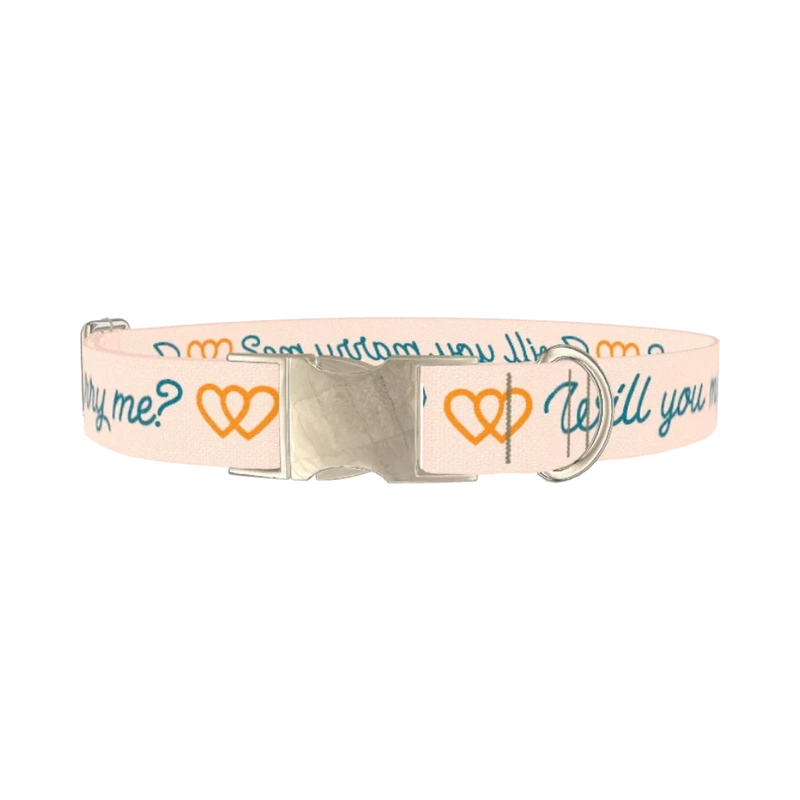 Phrase Heart Dog Collar - metal silver