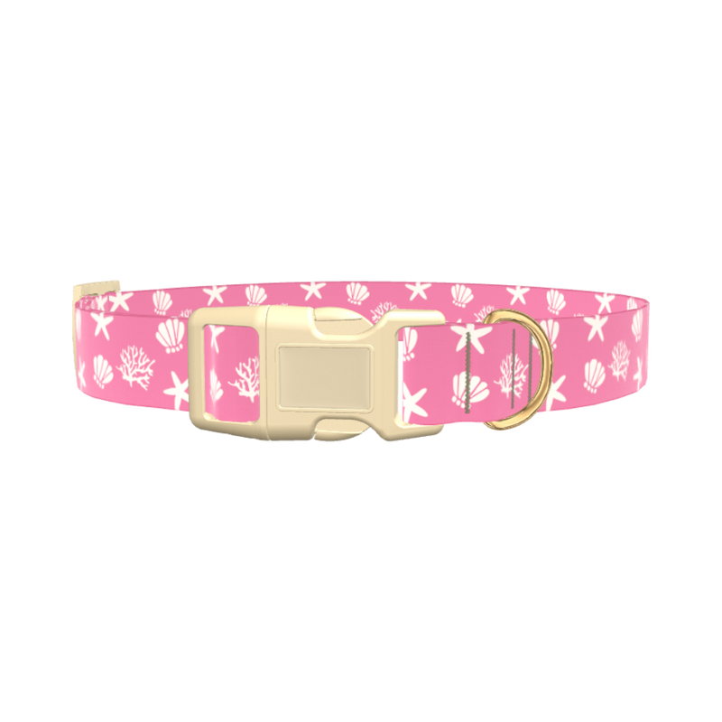 Seashell Beach Dog Collar - plastic silver