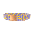 Banana Stripe Dog Collar - Thumbnail 2