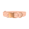 Holiday Western Cactus Dog Collar - metal rose gold