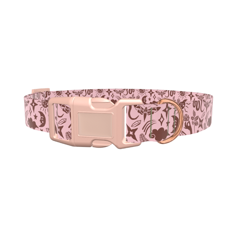 Mystical Nature Dog Collar - plastic silver