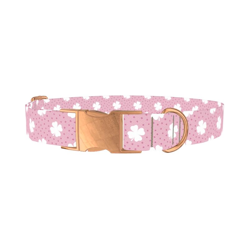 Clover Dot Dog Collar - metal rose gold