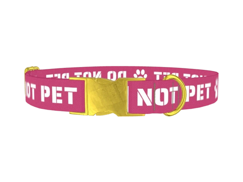 WORDS8_DontPet