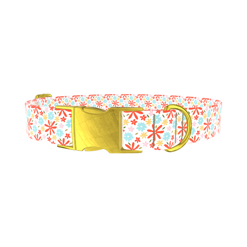 Colorful Bloom Dog Collar - metal gold