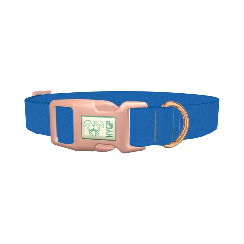 Beautiful Blue Color Dog Collar - plastic rose gold